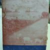 Plantas Medicinales - Osvaldo Peluffo Y Jorge E. Arroyo