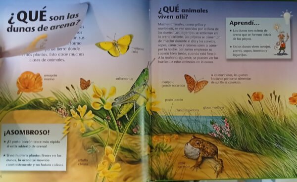 755680-MLA105582672066_012026 Donde Viven Los Animales - Teresita Valdettaro Dirección