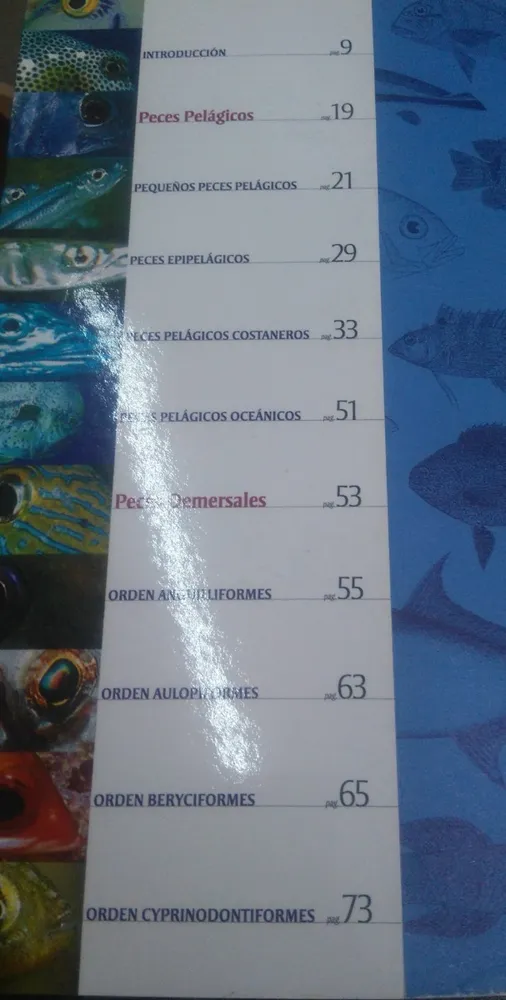 Peces Del Archipiélago Los Roques - Ramirez H., Cervigón F.