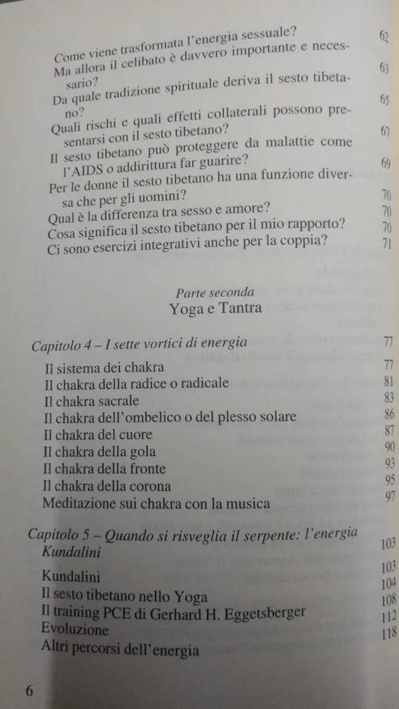 762303-MLA46518800818_062021 Il Sesto Tibetano - Christian Salvesen -