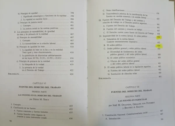 Tratado De Decho Del Trabajo Tomo I - M. Ackerman, D. Tosca