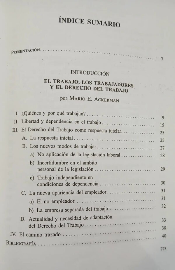Tratado De Decho Del Trabajo Vi-a Vi-b M. Ackerman, D. Tosca