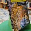 Bullying Blando Y Duro: Nuevas Violencias - A. Castro - Reta