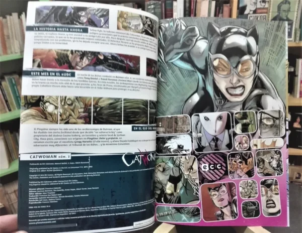 Catwoman Nº 2 - La Noche De Los Búhos - Ecc Dc Comics - 2012