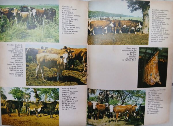 Ganadería Subtropical Argentina - José Andrés Carrazzoni