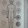 Los Chakras - Una Monografía C.w. Leadbeater