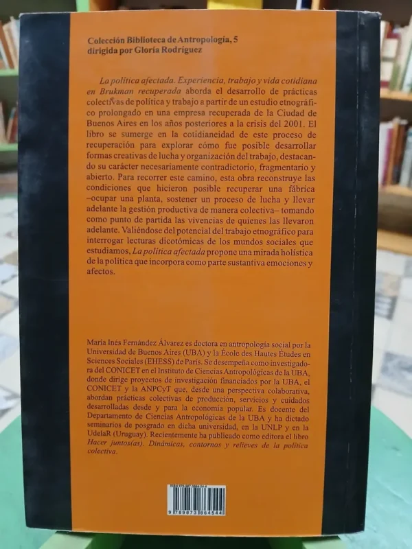 La Política Afectada - María Inés Fernández Alvarez