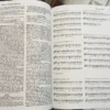 20 Tomos The New Grove Dictionary Of Music & Musicians Sadie