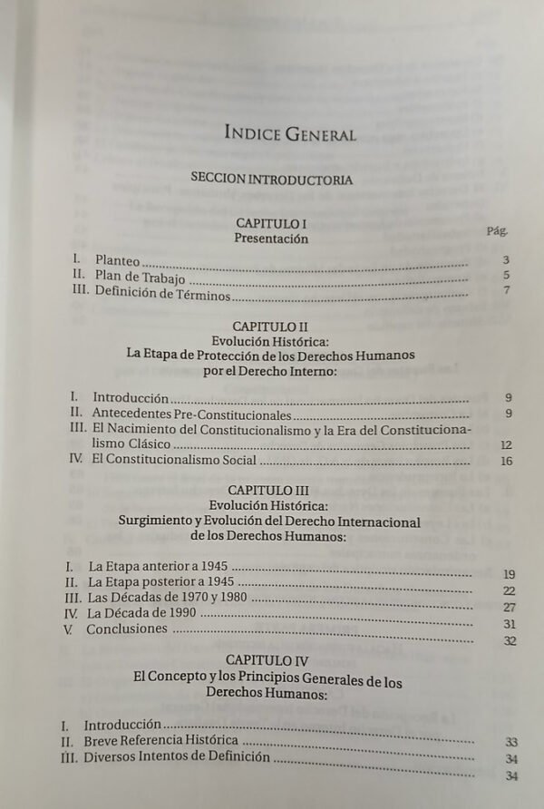 El Bloque De Constitucionalidad, Manili, Pablo Luis
