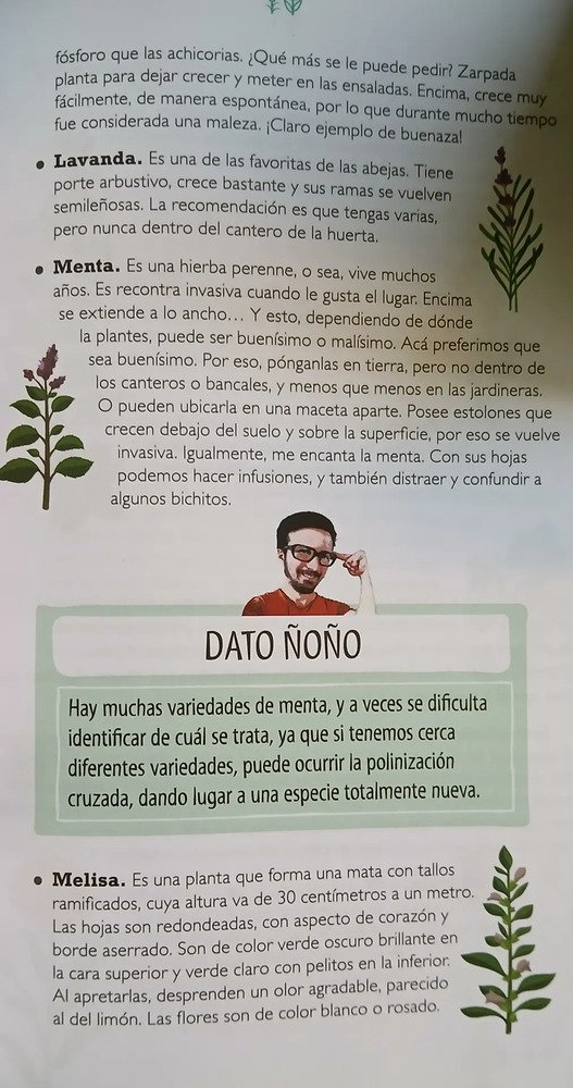 802539-MLA106186017379_012026 Quiero Más Verde - Tener Tu Huerta - Felipe Castro