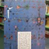 Apuntes De Literatura - Carlos Antognazzi - Fund. Banco Bica