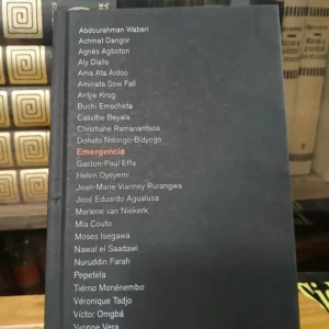 Emergencia Alfredo Jaar. África. Museo Castilla Y León Musac