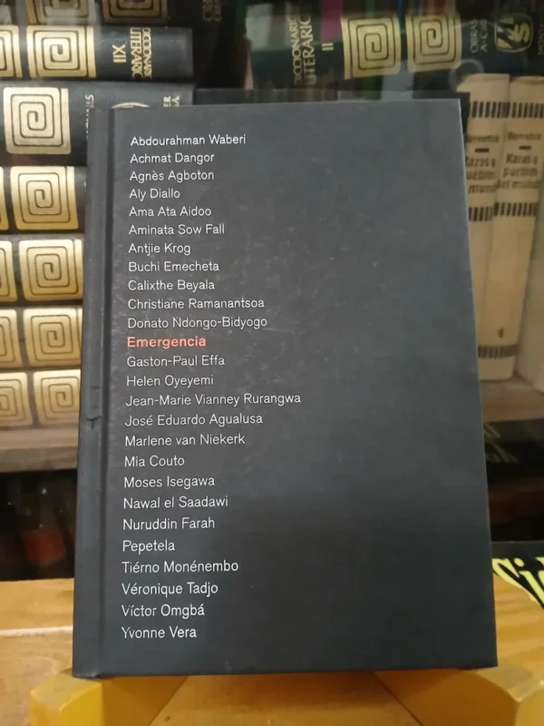 Emergencia Alfredo Jaar. África. Museo Castilla Y León Musac