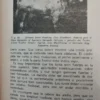 Ganado Vacuno - Nordby Lattig -