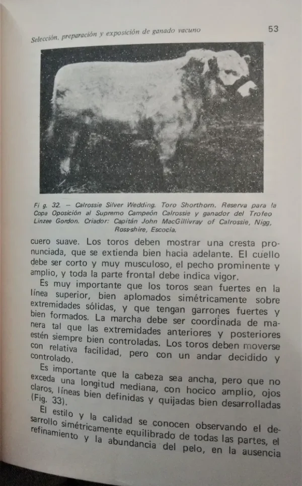 Ganado Vacuno - Nordby Lattig -