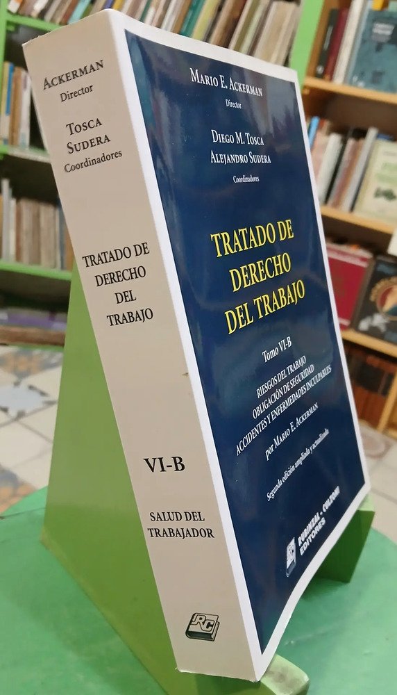 Tratado De Decho Del Trabajo Vi-a Vi-b M. Ackerman, D. Tosca