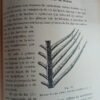 Manual De Peletería - Francisco Beltzer
