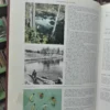 813271-MLA69568683737_052023 Enciclopedia De La Pesca - 2 Tomos - Piero Pieroni - 1970