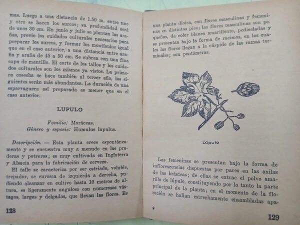 Plantas Medicinales - Osvaldo Peluffo Y Jorge E. Arroyo