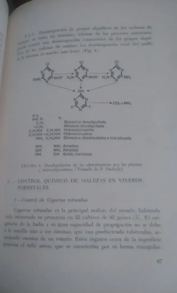828314-MLA32842691328_112019 Manejo Y Mejoramiento Del Bosque Cultivado - Unl Y Mag