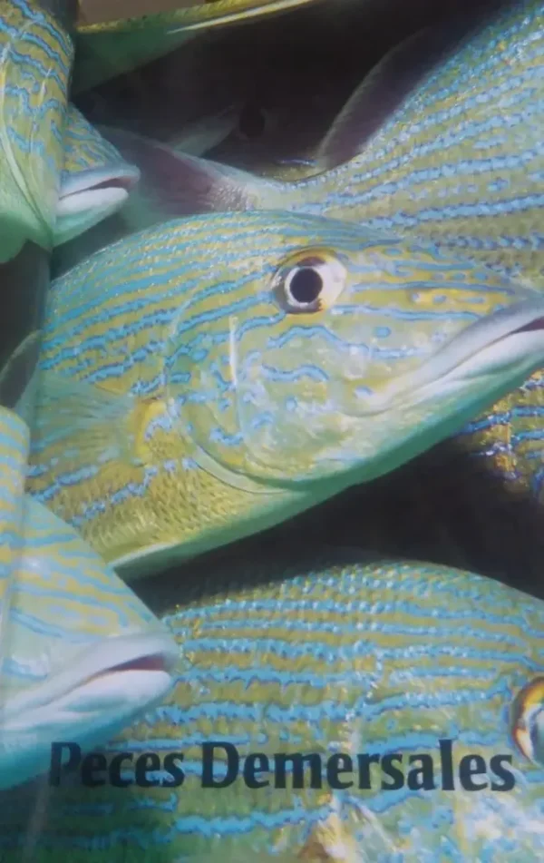 Peces Del Archipiélago Los Roques - Ramirez H., Cervigón F.