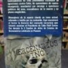 Mensajeros De La Muerte  Centroamérica José L. Méndez Méndez