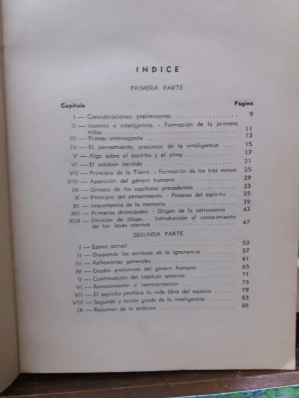 Origen Y Desarrollo De La Inteligencia - Cerutti Valentín -