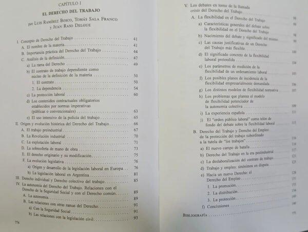 Tratado De Decho Del Trabajo Tomo I - M. Ackerman, D. Tosca