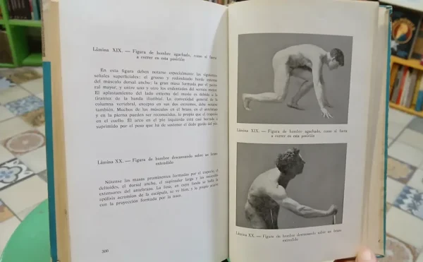 849601-MLA87891843029_072025 Anatomía Artística - Fripp, Alfredo - Thomson, Rodolfo