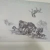 853490-MLA96863487741_102025 Goya - Estampas Gravados Y Litografía - J Carrete Parrondo