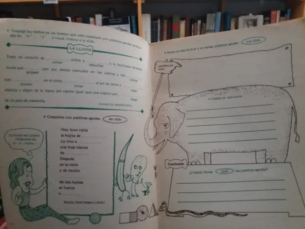 El Señor Acentuación - Nelli Susana Calame-