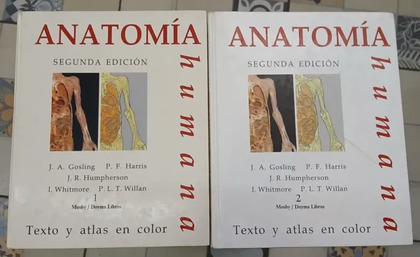 870593-MLA109673299544_042026 Seis Sombreros Para Pensar - Edward De Bonn - Best Seller