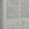 Inmunología E Inmunoquímica 4ta Edición - Ricardo A. Margni