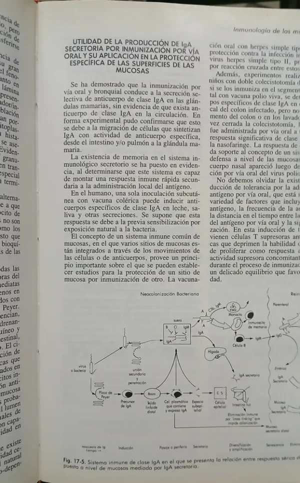 Inmunología E Inmunoquímica 4ta Edición - Ricardo A. Margni