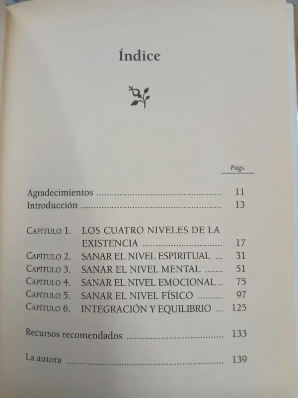 Los Cuatro Niveles De La Sanación - Shakti Gawain