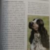 Cocker Spaniel Inglés - H. Van Wessem