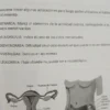 Medicina Biológica Y Curas Naturales - Juan Oscar Mitchell