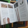 883495-MLA79199347101_092024 The Phallus In Art & Culture - Mattelaer, Johan