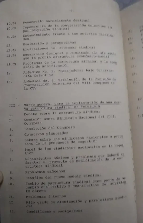 El Sindicato Nacional Por Rama De Industria En Venezuela