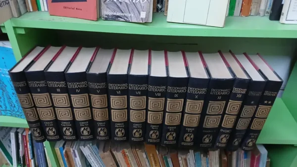 891667-MLA88027026534_072025 Diccionario Literario De Obras Y Personajes , 14 Tomos