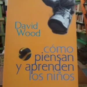 892192-MLA32803096848_112019 Cómo Piensan Y Aprenden Los Niños - David Wood-