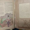 Robin Hood Clásicos De Oro Ilustrados Howard Pyle, Lindquist