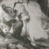 Historia De La Crítica De Arte - Lionello Venturi -