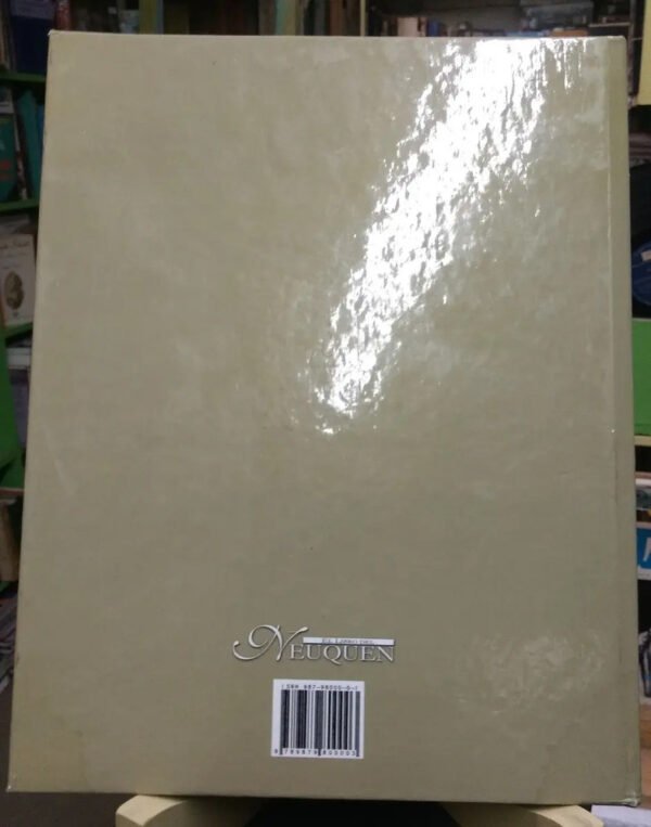 897237-MLA46651114295_072021 El Libro Del Neuquén