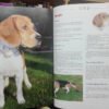 La Biblia De Los Perros Conociendo Todo Sobre Ellos. Con Dvd