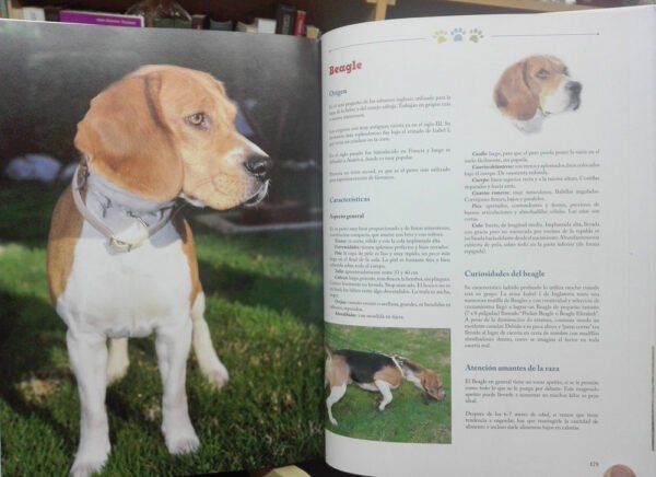 La Biblia De Los Perros Conociendo Todo Sobre Ellos. Con Dvd
