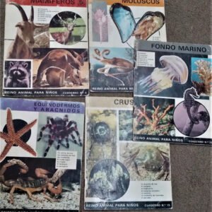 Reino Animal Para Niños - Lote 17 Números - 1969