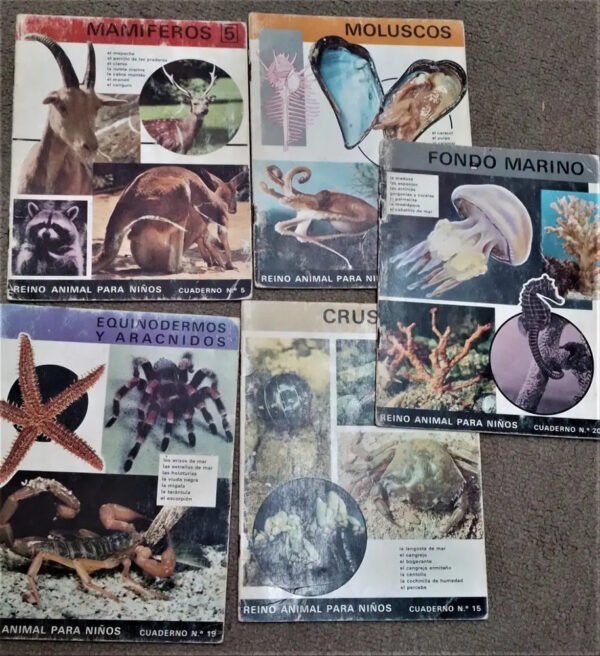 Reino Animal Para Niños - Lote 17 Números - 1969