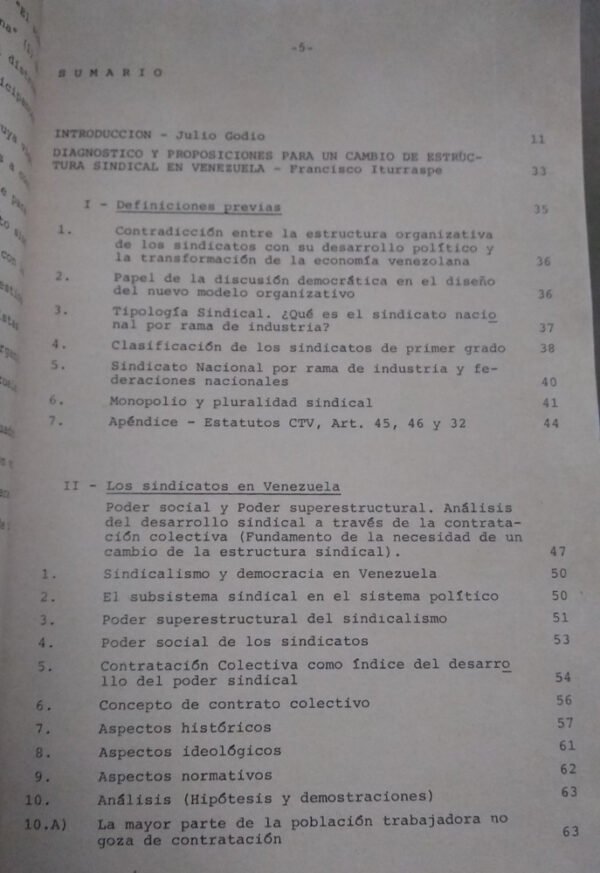El Sindicato Nacional Por Rama De Industria En Venezuela