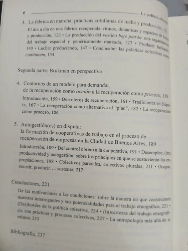 La Política Afectada - María Inés Fernández Alvarez
